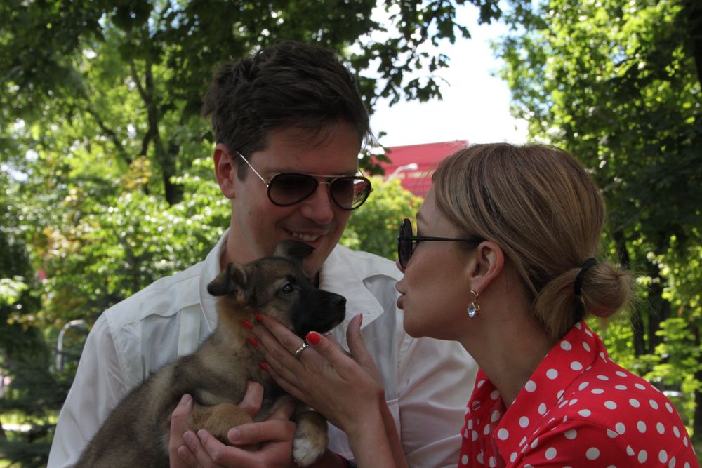 Звезды и их четвероногие друзья отпраздновали День собак