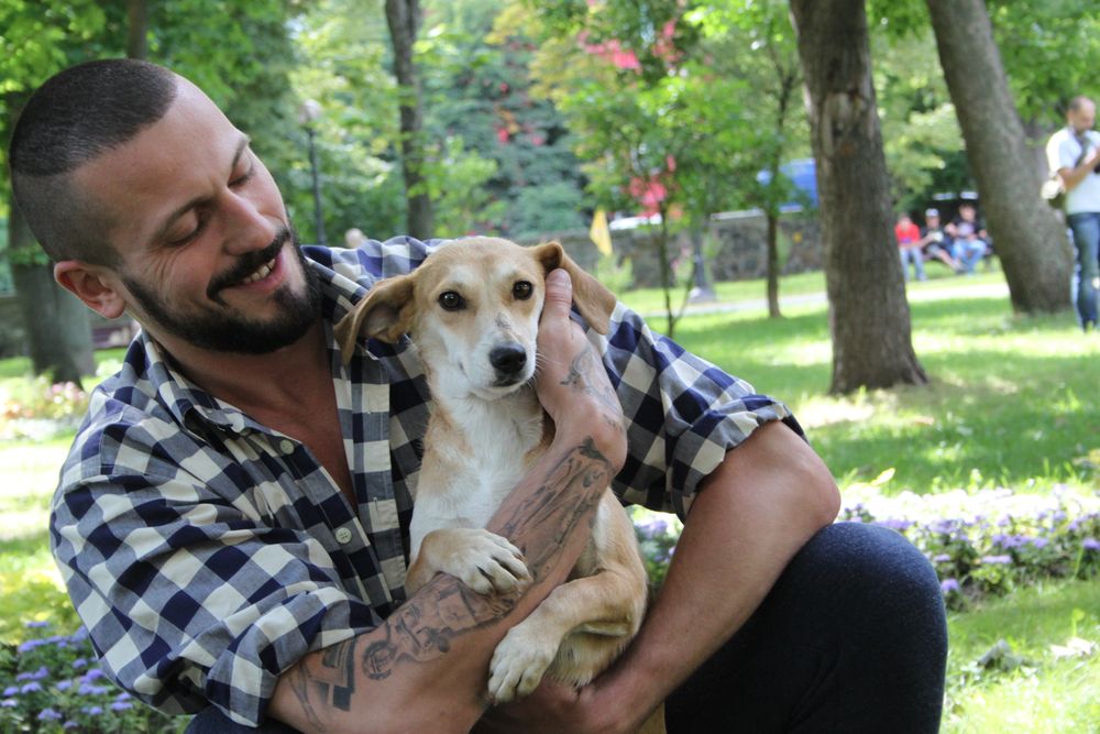 Звезды и их четвероногие друзья отпраздновали День собак