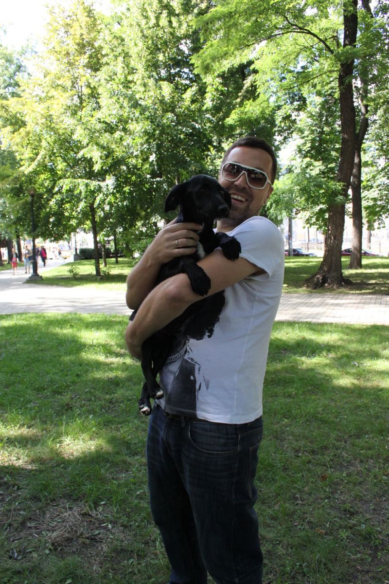 Звезды и их четвероногие друзья отпраздновали День собак