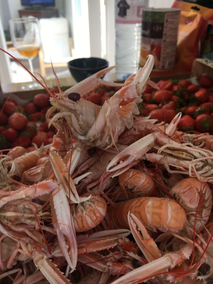 Отдых по-французски: Лидия Таран провела идеальный отпуск в Бретани