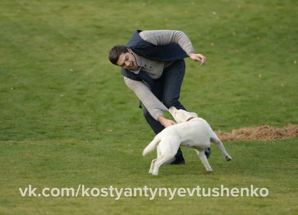 Константин Евтушенко герой шоу холостяк 4 сезон фото