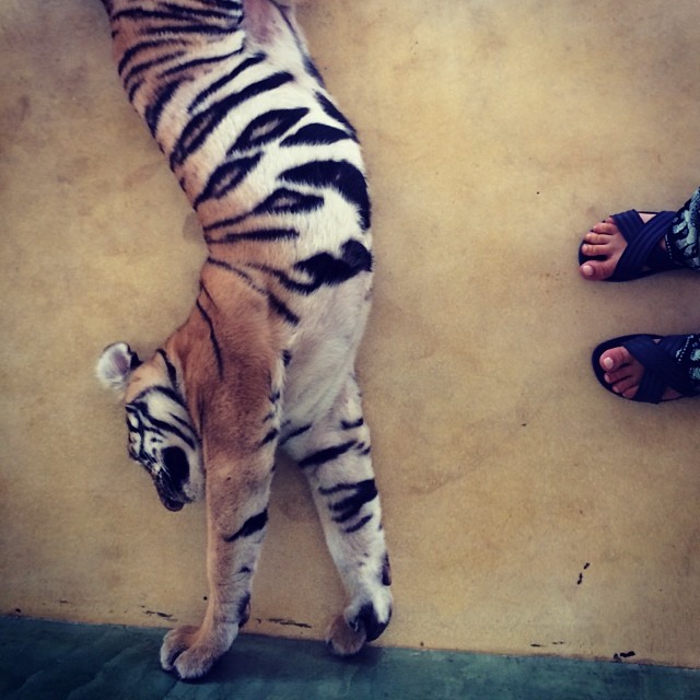 Даша Астафьева инстаграм отдых фото 2014