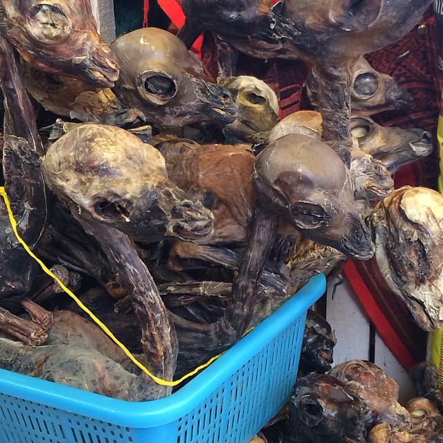 Андрей Искорнев фото