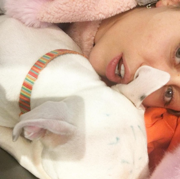 Майли Сайрус обвинили в издевательстве над домашними животными