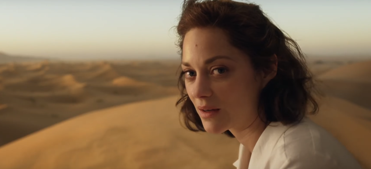 Брэд Питт и Марион Котийяр