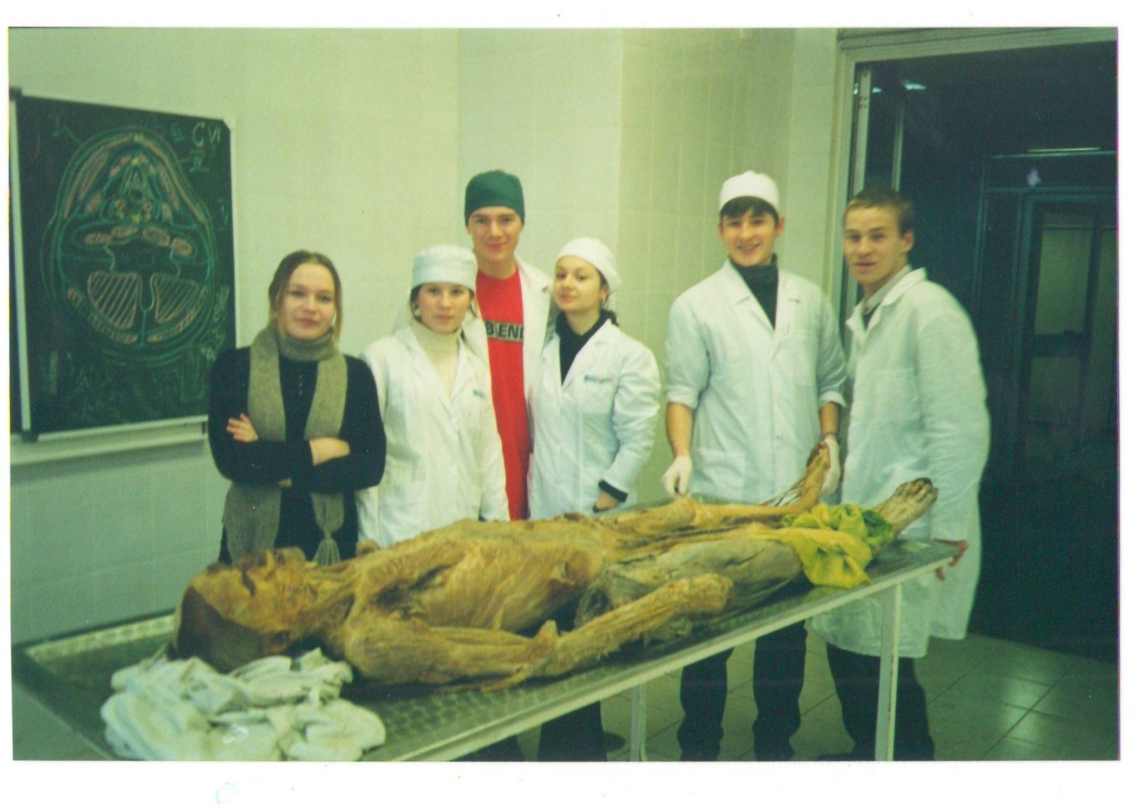 Андрей Искорнев фото