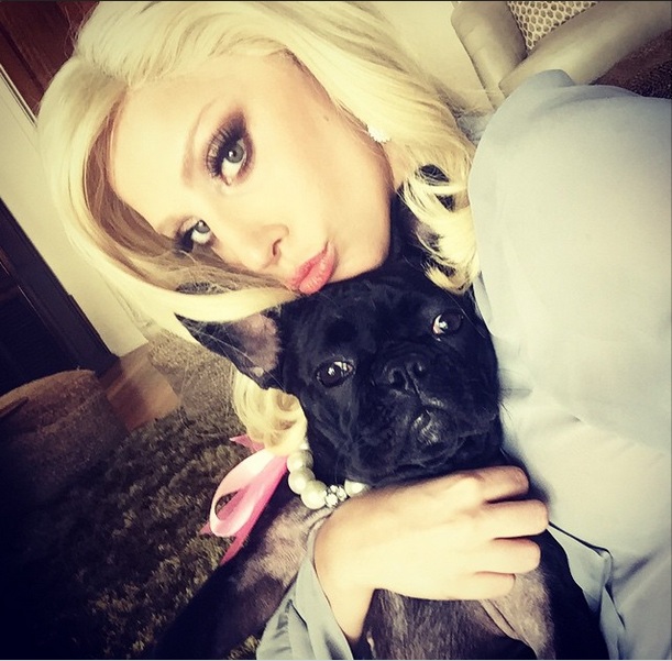 Хью Джекман, Леди Гага, Пэрис Хилтон: звезды показали своих четвероногих друзей